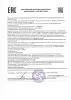 Цукаты из сосновых шишек на шпажке 25 гр